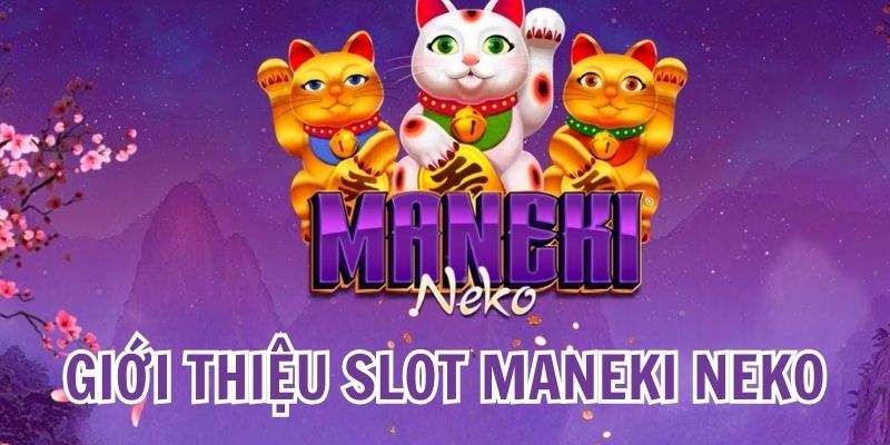 Nổ Hũ Mèo Chiêu Tài: Quay Ngay Vận May, Tiền Về Đầy Tay 5 Tổng quan về Maneki Neko slots